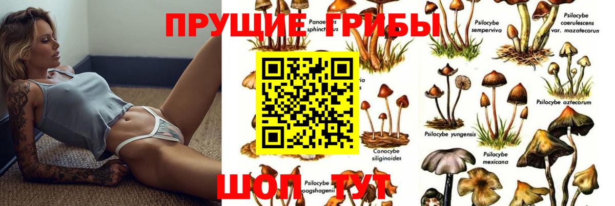 Псилоцибиновые грибы мицелий  Вход с VPN  Псилоцибиновые грибы прущие грибы  наркотики  Омск 